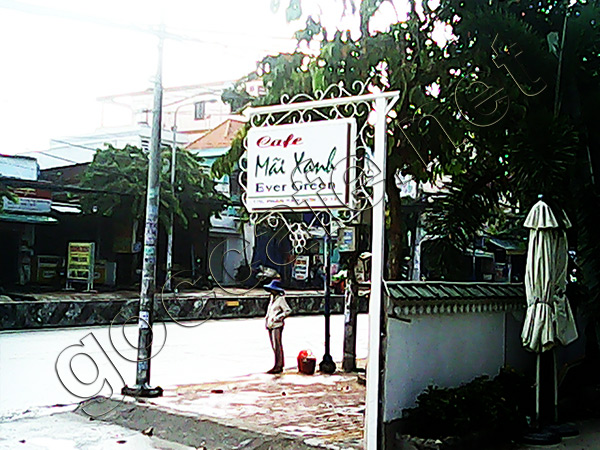 Cafe Mãi Xanh (evergreen) Quận 12